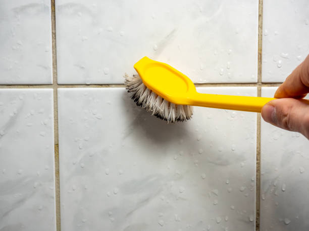 Best Mold Remediation for Specific Building Types in Lakeport, CA